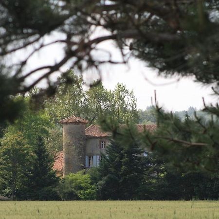 Bed and Breakfast Chateau De Gargas Gaudies Экстерьер фото
