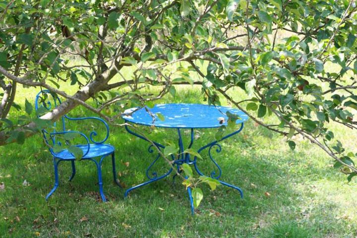 Bed and Breakfast Chateau De Gargas Gaudies Экстерьер фото